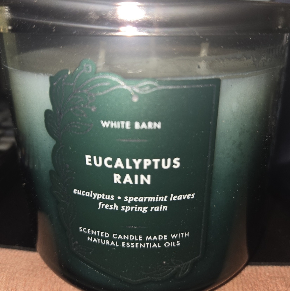 White Barn Eucalyptus Rain Candle in Green Holder